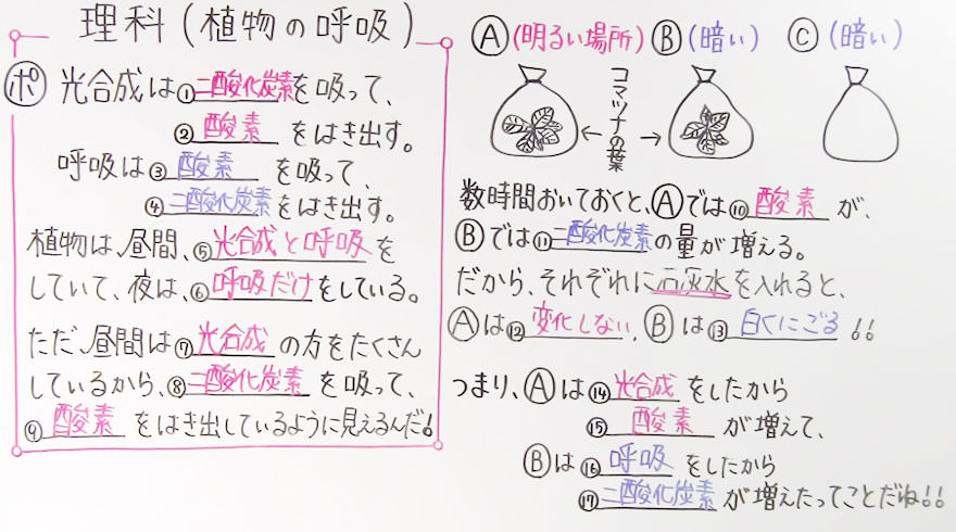中１理科-11