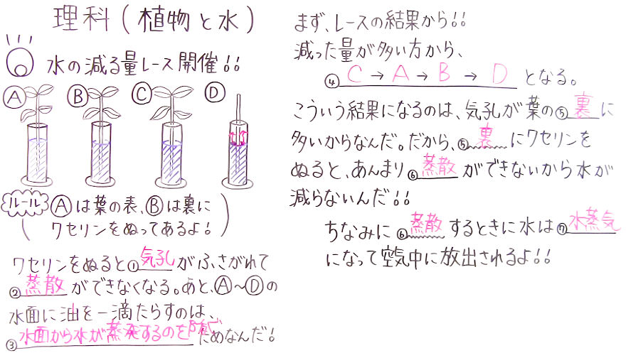 中１理科-12