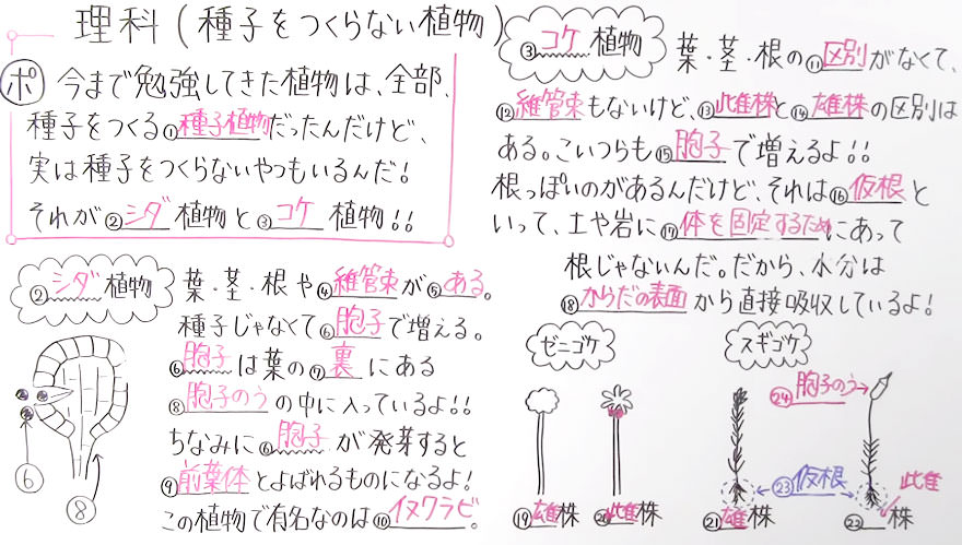 中１理科-14