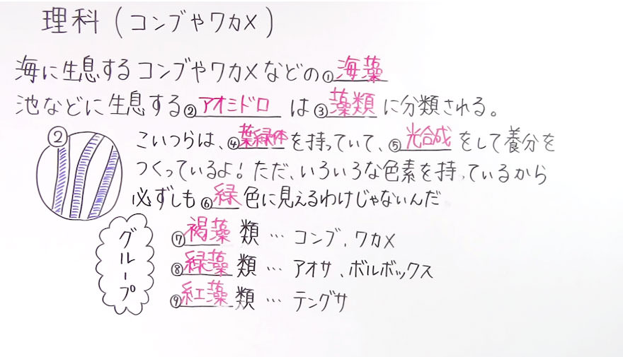 中１理科-16