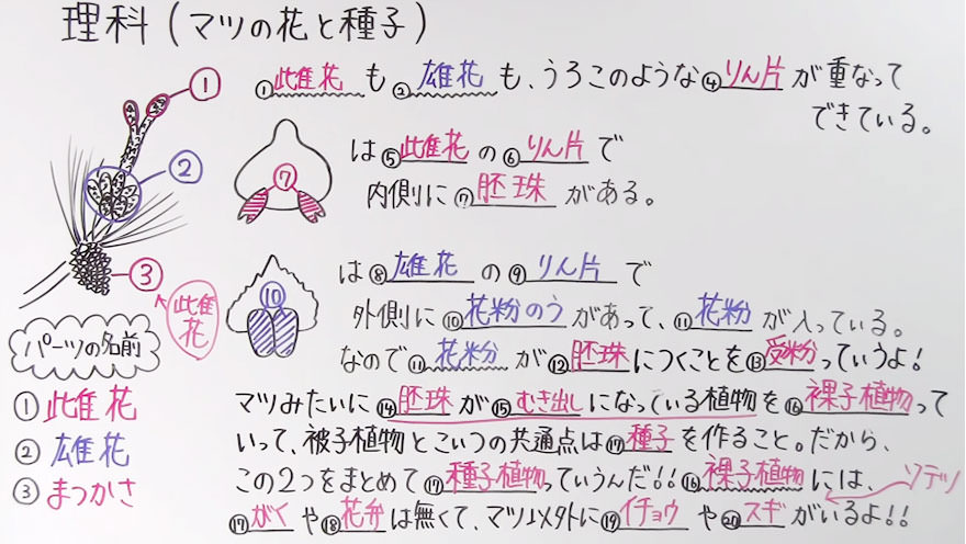 中１理科-5