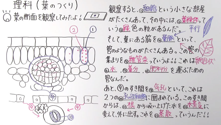 中１理科-6