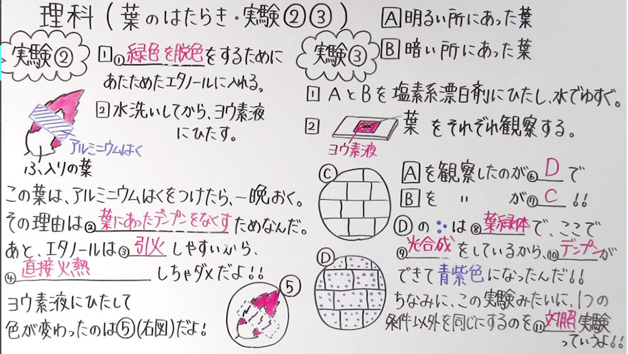 中１理科-8