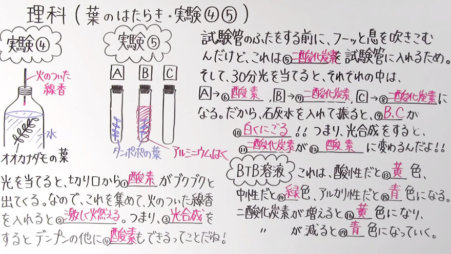 中１理科-9