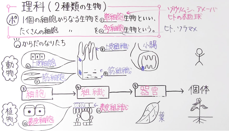 中2理科-16