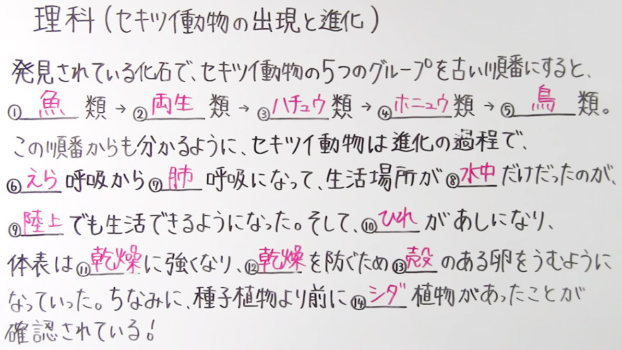 中2理科-33
