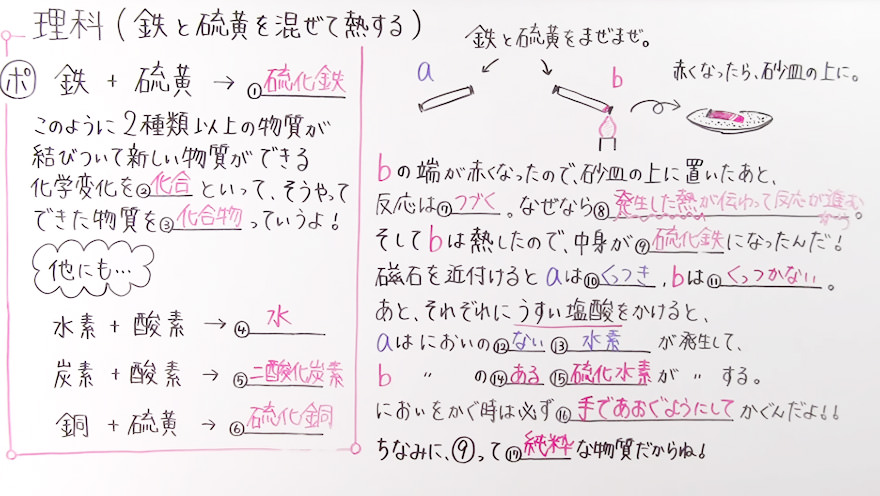中2理科-6