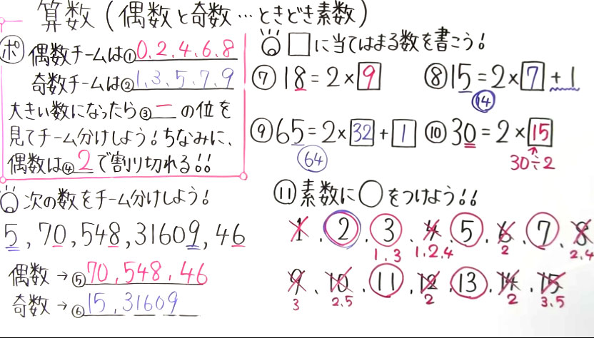 小5 算数-17
