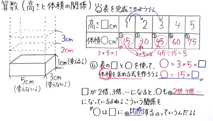 小5 算数-6