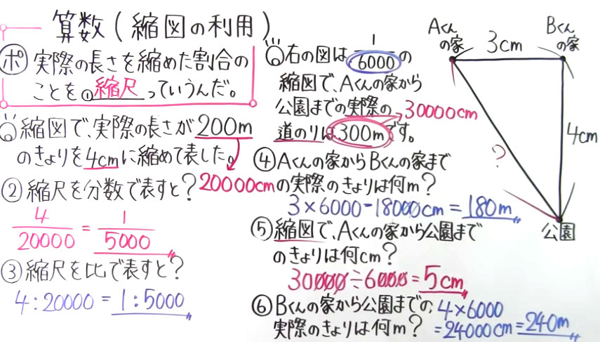 小6 算数-20