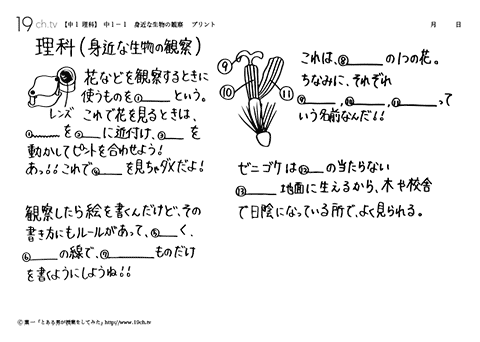 身近な生物の観察