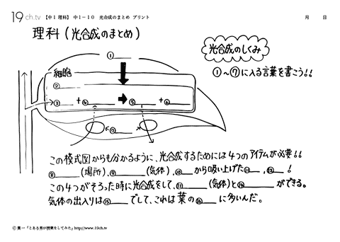 光合成のまとめ