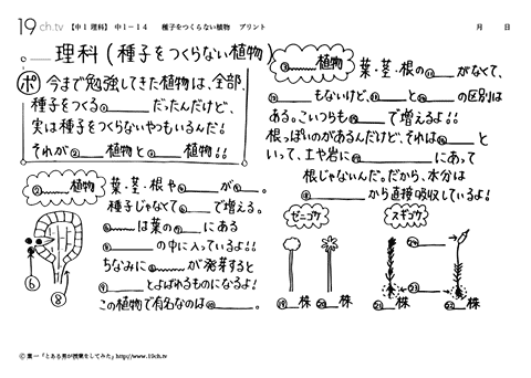 種子をつくらない植物