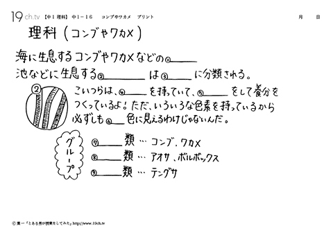 コンブやワカメ