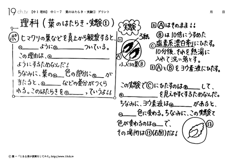 葉のはたらき・実験①