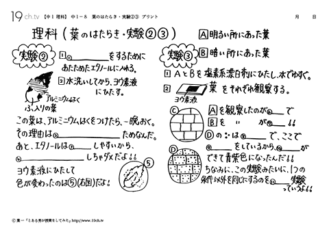 葉のはたらき・実験②③