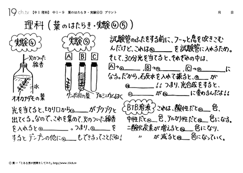 葉のはたらき・実験④⑤