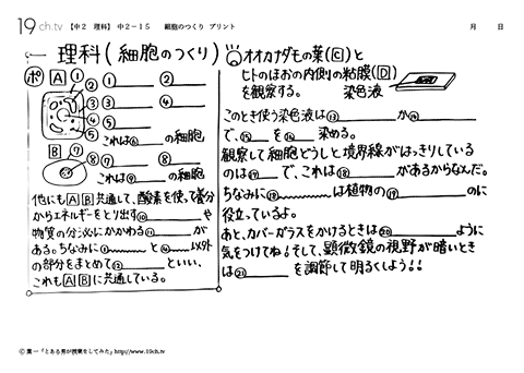 細胞のつくり