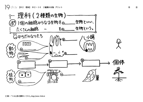 ２種類の生物
