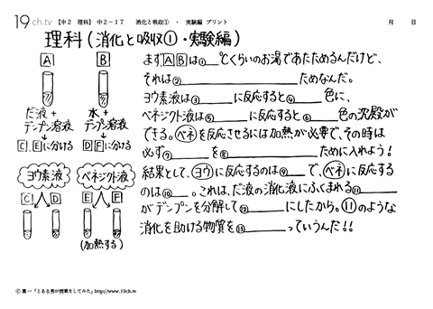 消化と吸収①・実験編