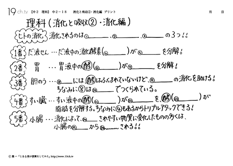 消化と吸収②・消化編