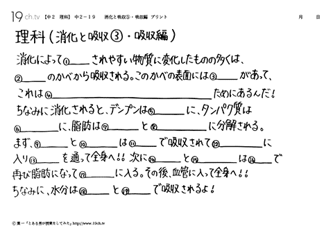 消化と吸収③・吸収編