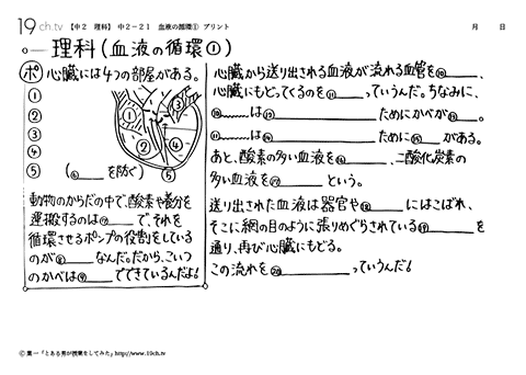 血液の循環①