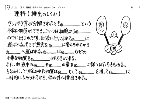 排出のしくみ