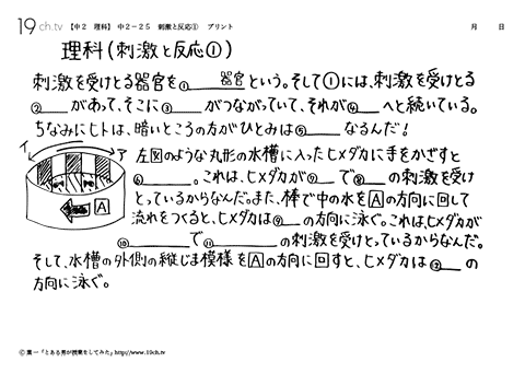 刺激と反応①
