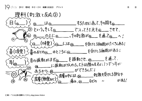 刺激と反応②