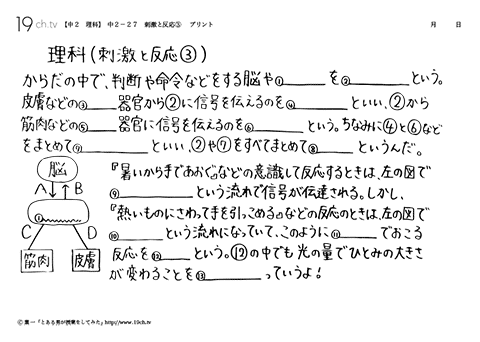刺激と反応③