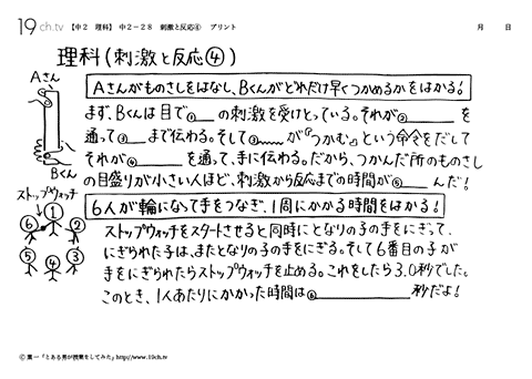 刺激と反応④