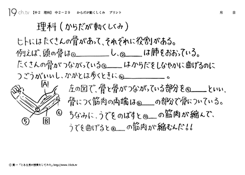 からだが動くしくみ