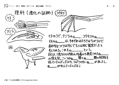 進化の証拠＊