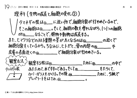 生物の成長と細胞の変化②