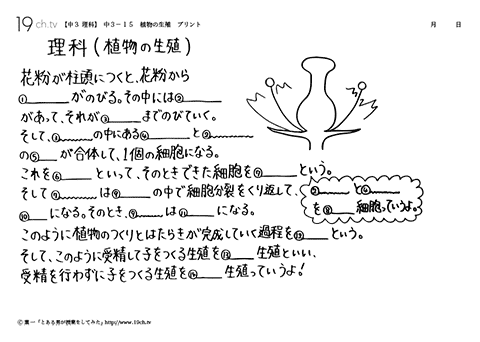 植物の生殖