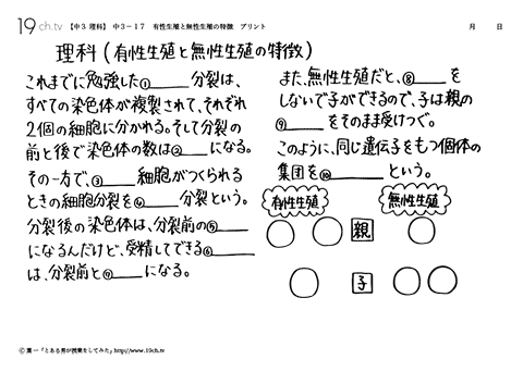 有性生殖と無性生殖の特徴