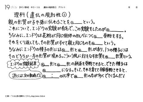 遺伝の規則性①