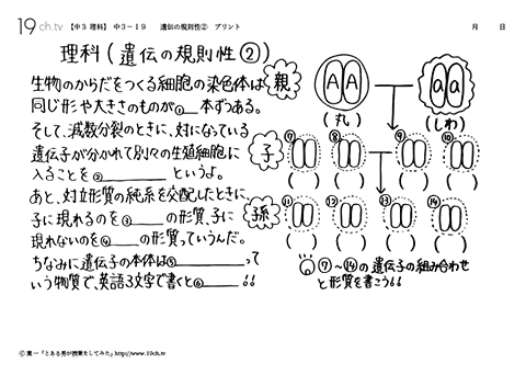 遺伝の規則性②