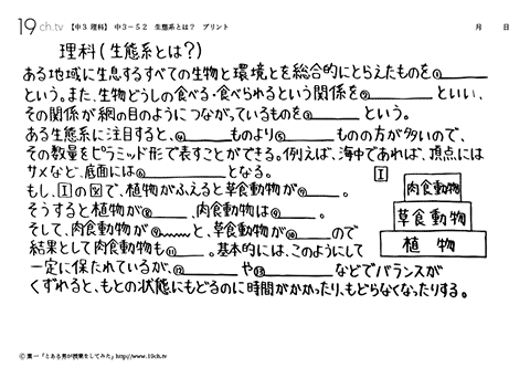 生態系とは？