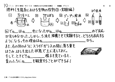 生態系における生物の役割②・実験編