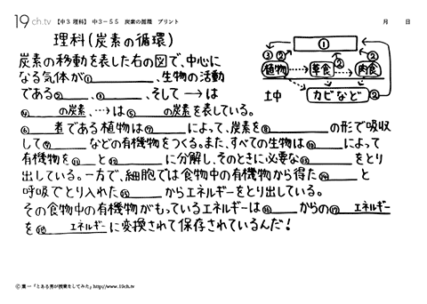 炭素の循環