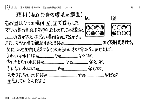 身近な自然環境の調査