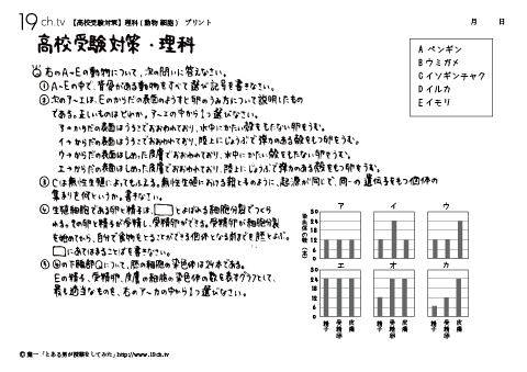 動物 細胞