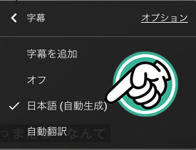 勉強動画の字幕2